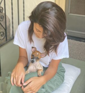 Sibylla Deen Instagram - Frida 🦘 @tobiessmalldogrescue #fosteringsaveslives and breaks hearts ♥️.