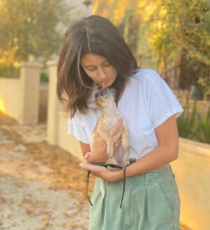 Sibylla Deen Instagram - Frida 🦘 @tobiessmalldogrescue #fosteringsaveslives and breaks hearts ♥️.