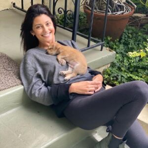 Sibylla Deen Instagram - Pee Wee 🐕 🐶🧸 ❤️☺️🐾 @tobiessmalldogrescue #adoptdontshop #fosteringsaveslives