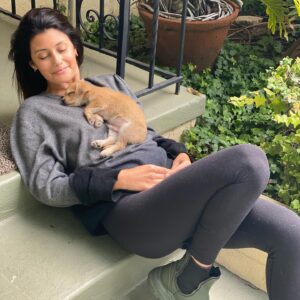 Sibylla Deen Instagram - Pee Wee 🐕 🐶🧸 ❤️☺️🐾 @tobiessmalldogrescue #adoptdontshop #fosteringsaveslives