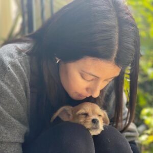 Sibylla Deen Instagram - Pee Wee 🐕 🐶🧸 ❤️☺️🐾 @tobiessmalldogrescue #adoptdontshop #fosteringsaveslives