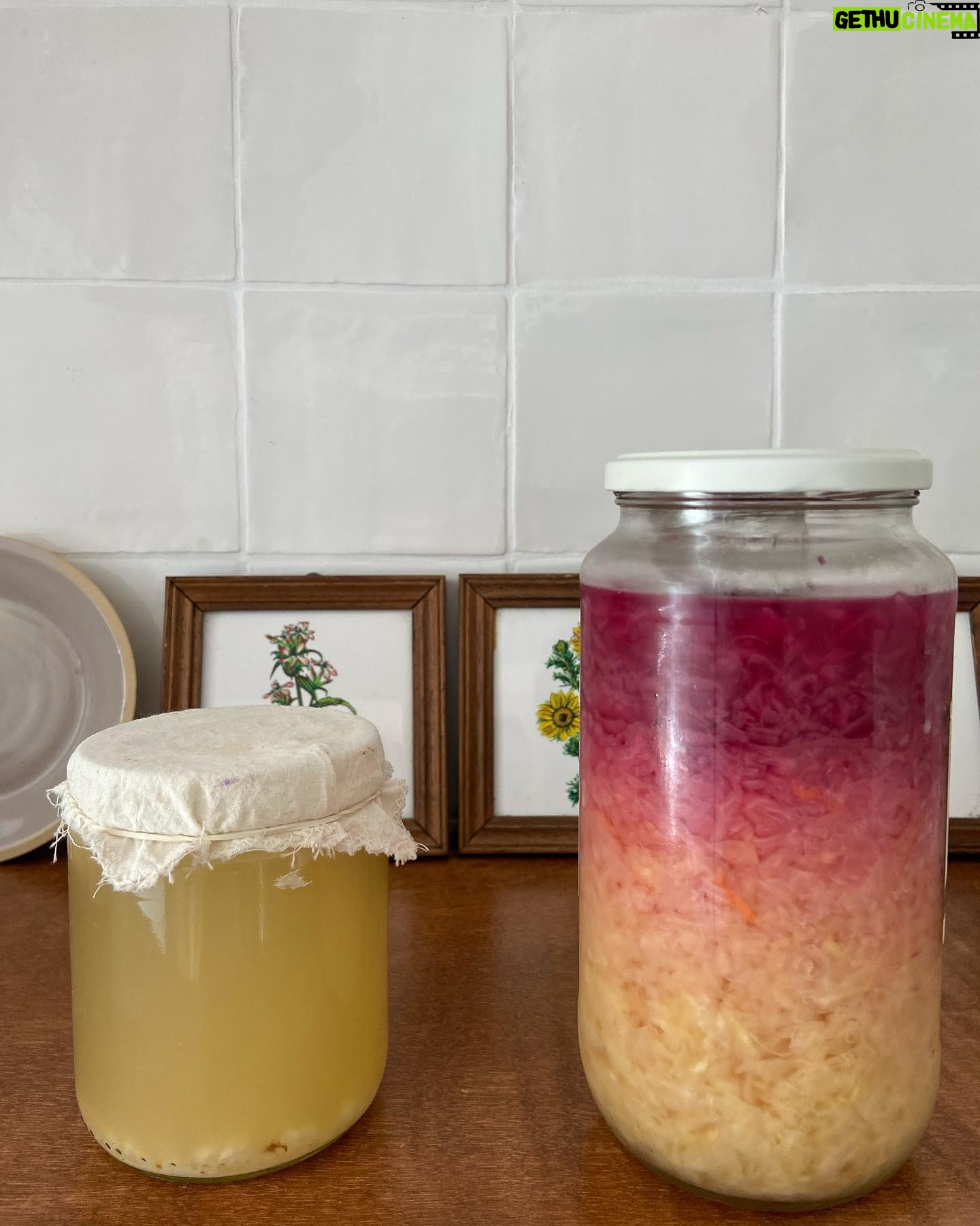 Sigrid ten Napel - 891 Likes - Rijping en verzuring an egodocument on fermentation