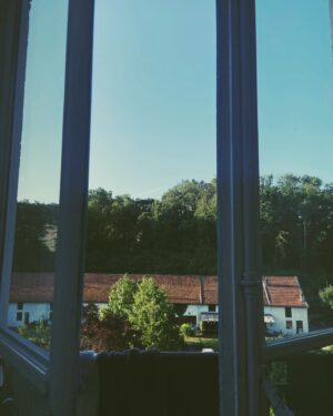 Sigrid ten Napel Instagram - Plukken, ruiken, voelen, proeven. Rozen, Heermoes en Sint Janskruid. Kampvuur, zwemmen, Franse boekjes. Weinig bereik, veel tijd.