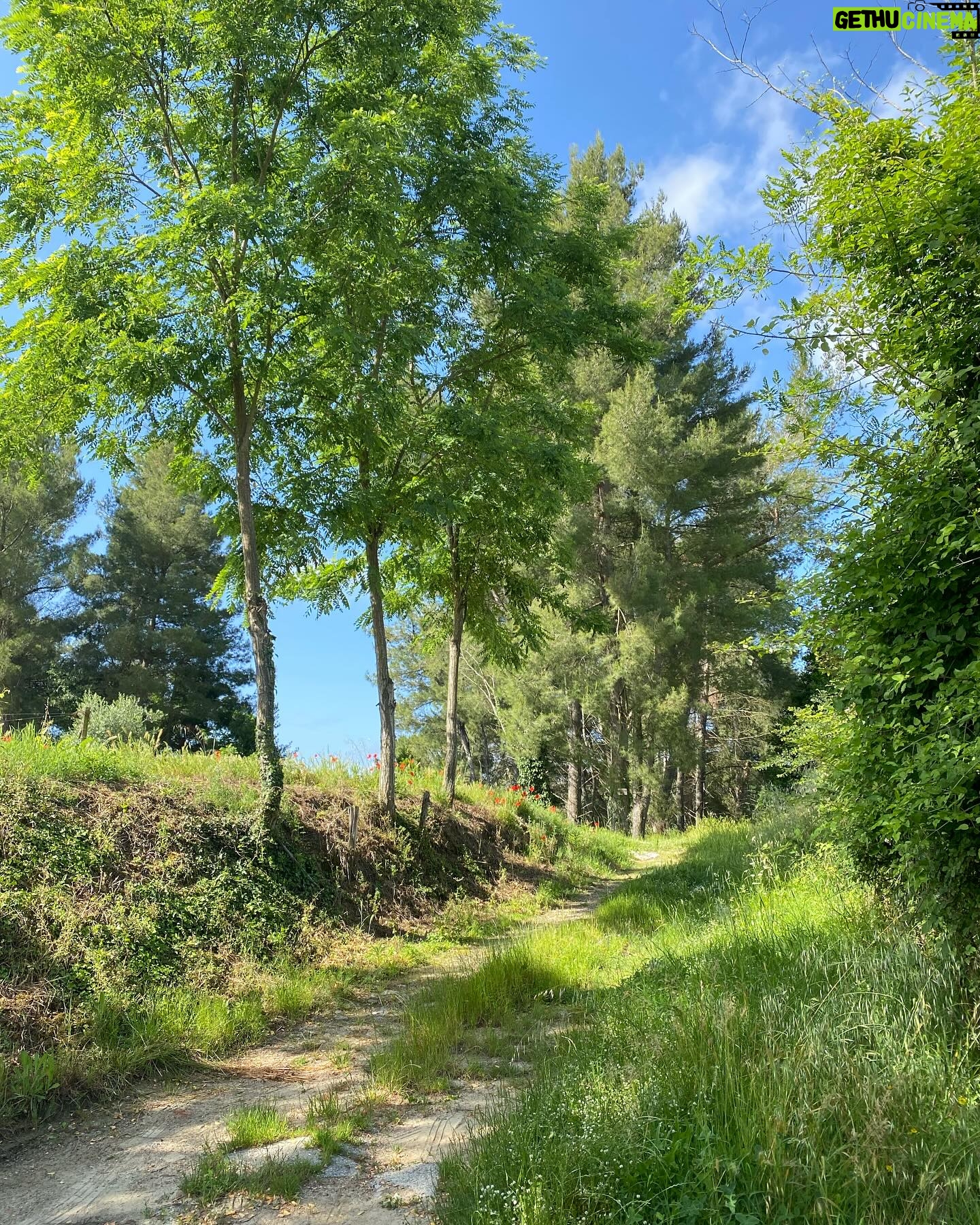Sikke Sumari - 838 Likes - Arrivederci Fauglia - ci rivediamo in autunno!!
Suuret kiitokset @lieminen ja @yulialuo vieraanvaraisuudesta ja kauniin kotinne suomisesta majapaikaksemme näiksi päiviksi, jotka tarvitsimme!
Kuinka ollakaan, Toscanasta löysimmekin sen majapaikan, josta käsin syksyllä lähdemme suureen etsintään…