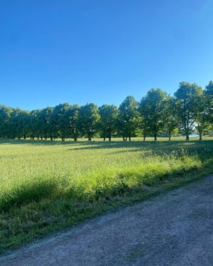 Sikke Sumari Instagram - Näillä poluilla tänään uimaan!

#suomi #suomenluonto #kesäsuomionkaunis #uima-aamu #linnunlaulu