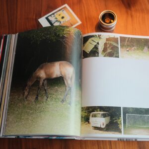Silva Instagram - Tenho o prazer de apresentar para vocês Encantado, o Livro. Foi um projeto dirigido por mim, por André Paste, e pelo meu irmão, Lucas Silva, que também fotografou grande parte do projeto. Lucas apelidou o livro de “a alma tátil do disco”. Esse projeto tenta retratar boa parte do processo criativo do álbum, os encontros maravilhosos dentro e fora do estúdio, os dias de trabalho pesado, e tudo que convergiu para que o disco existisse. Aqui agradeço a todos que se envolveram de alma comigo nesse projeto, e aos artistas maravilhosos tais como Kika Carvalho, João Pedro Januário e Vitor Melo, que contribuíram com seus ensaios fotográficos, dentre outros que clicaram e contribuíram com o olhar em cada instante do que aconteceu. O livro traz ainda textos inéditos de Luiz Antônio Simas e Lucas Silva. Agradecimentos especiais também aos queridos do Estúdio Cru, que conseguiram deixar tudo com a minha cara. É para quem deseja se aprofundar e mergulhar a fundo no meu disco. Espero que gostem. O link está disponível na bio ou é só digitar no navegador silva.tv. Beijos! 🌻