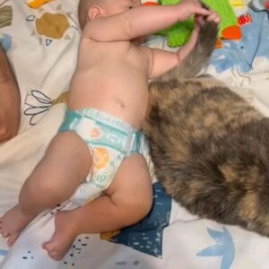 Silvia Kutika Instagram - No le gusto el sabor gato😂😂😂.Nuestro nietito y su nueva amiga