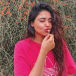 Simi Chahal