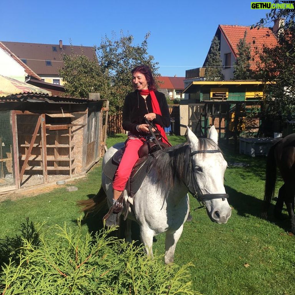 Simona Babčáková - 867 Likes - Včera jsem měla mimořádný zážitek. Poprvé v životě jsem jela na koni. S Vaškem, který zachraňuje a odkupuje týrané koně anebo koně předčasně určené na porážku. A svou péčí jim dá tolik lásky, že ty koně zase důvěřují lidem. Doporučuji vřele. Když na koně, tak k Vaškovi. 🙂