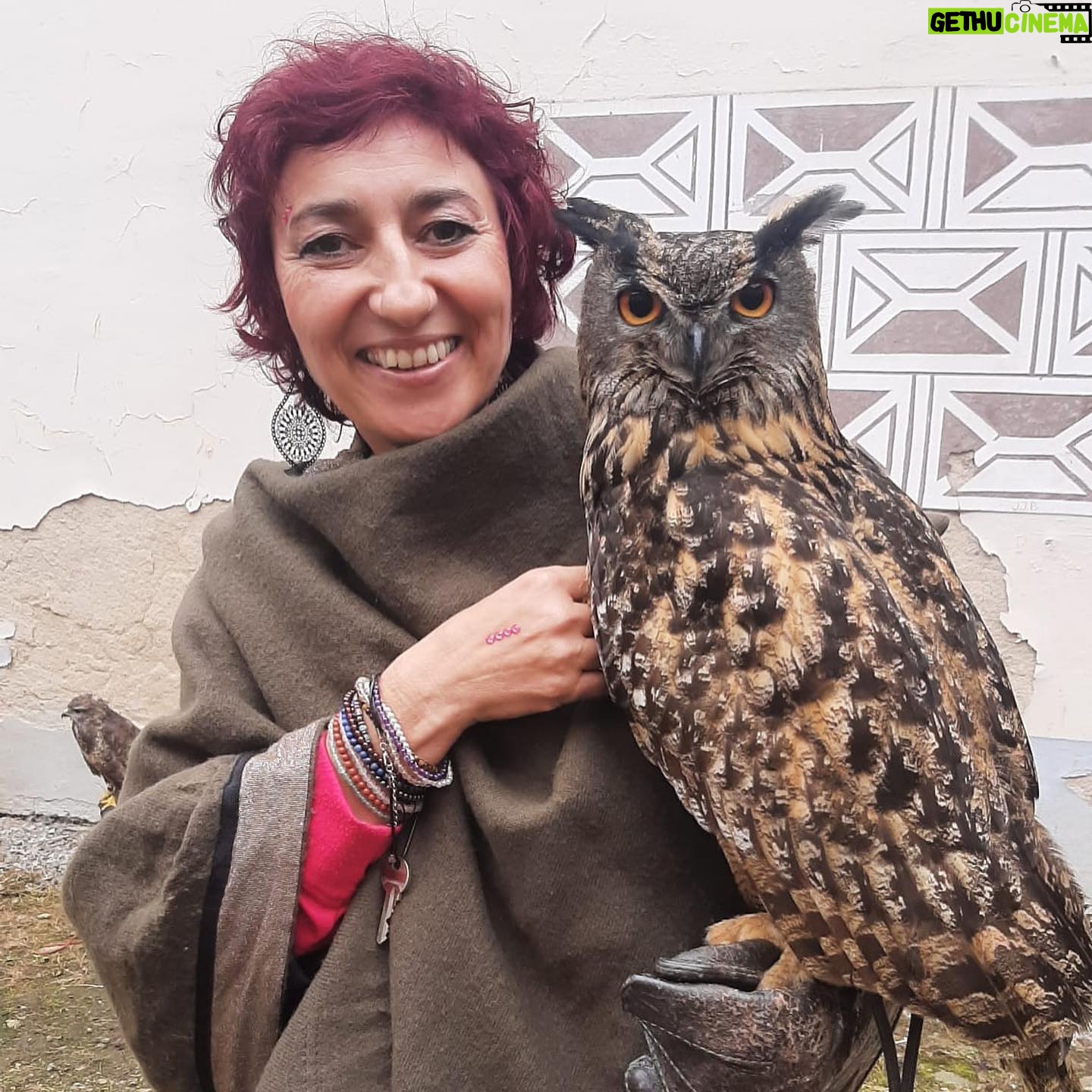 Simona Babčáková - 572 Likes - Je mou cechovní ctí, že co lektoruji, to také žiji. Takže v rámci Tvorby záměru jsem využila setkání s Kýhovýra - nočním dravcem - ten, který vidí ostře a má nadhled i v temnotách a v rámci vědomí Jak procházet změnami, jsem se profesionalizovala a kromě oficiálního přihlášení na živnostenský úřad jsem si dnes vyzvedla první stovku certifikátů za absolvování semináře Vědomé komunikace. (A o tom, jak jsem v rámci sobotního moderování svatováclavských slavností dělala asistentku sokolnikovi a v rámci ukázky mi prolétlo káně mezi nohama - 2x 😉- raději pomlčím. 🤭😉😀😀😀)