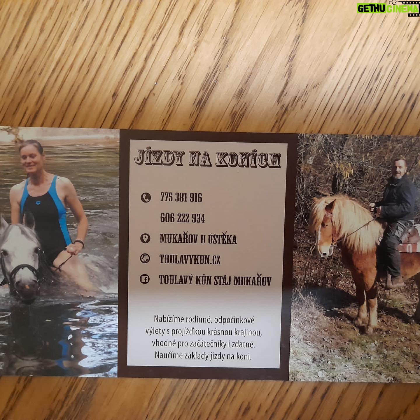 Simona Babčáková - 867 Likes - Včera jsem měla mimořádný zážitek. Poprvé v životě jsem jela na koni. S Vaškem, který zachraňuje a odkupuje týrané koně anebo koně předčasně určené na porážku. A svou péčí jim dá tolik lásky, že ty koně zase důvěřují lidem. Doporučuji vřele. Když na koně, tak k Vaškovi. 🙂