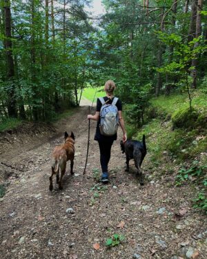 Simona Kollárová Instagram - Domaniža 💙
.
.
.
.
.
.
.
.
.
#trip #dogtrip #domaniza #nature #hike #doghiking #forest #beechtree #rocks #stareskaly #malinois #belgianmalinois #bluemerle #retrievermix