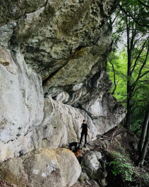 Simona Kollárová Instagram - Domaniža 💙
.
.
.
.
.
.
.
.
.
#trip #dogtrip #domaniza #nature #hike #doghiking #forest #beechtree #rocks #stareskaly #malinois #belgianmalinois #bluemerle #retrievermix