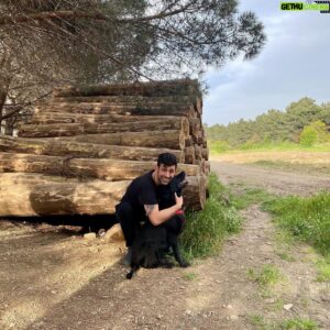Sinan Çalışkanoğlu Instagram - Kral’la yürüyüş molası🐾🐶

#satınalmasahiplen #köpeksevgisi #labrador #labradorlove