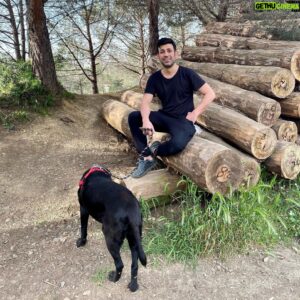 Sinan Çalışkanoğlu Instagram - Kral’la yürüyüş molası🐾🐶

#satınalmasahiplen #köpeksevgisi #labrador #labradorlove