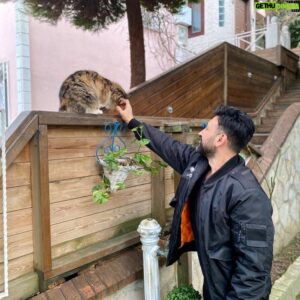 Sinan Çalışkanoğlu Instagram - Bahçeden organik 😻 #organiktarım #besiktas