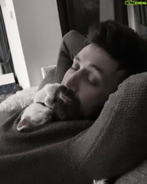 Sinan Çalışkanoğlu Instagram - Obi&daddy 😻 #cats 
📸 @cigdemcaliskanoglu ❤️