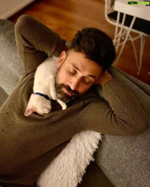 Sinan Çalışkanoğlu Instagram - Obi&daddy 😻 #cats 
📸 @cigdemcaliskanoglu ❤️
