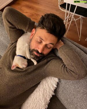 Sinan Çalışkanoğlu Instagram - Obi&daddy 😻 #cats 
📸 @cigdemcaliskanoglu ❤️