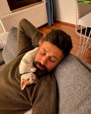 Sinan Çalışkanoğlu Instagram - Obi&daddy 😻 #cats 
📸 @cigdemcaliskanoglu ❤️