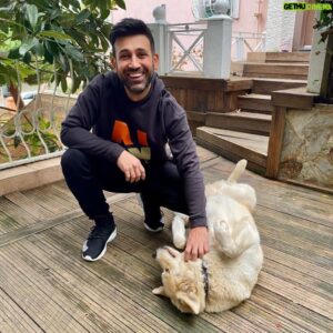 Sinan Çalışkanoğlu Instagram - Thor & Akita 
#satınalmasahiplen #birkapsubirkapmama #sokaktakicanlar #sokakhayvanları
