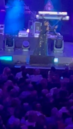 Sinitta Instagram - Albert Hall #gladysknight #90minutes #80yearaold #GOALs