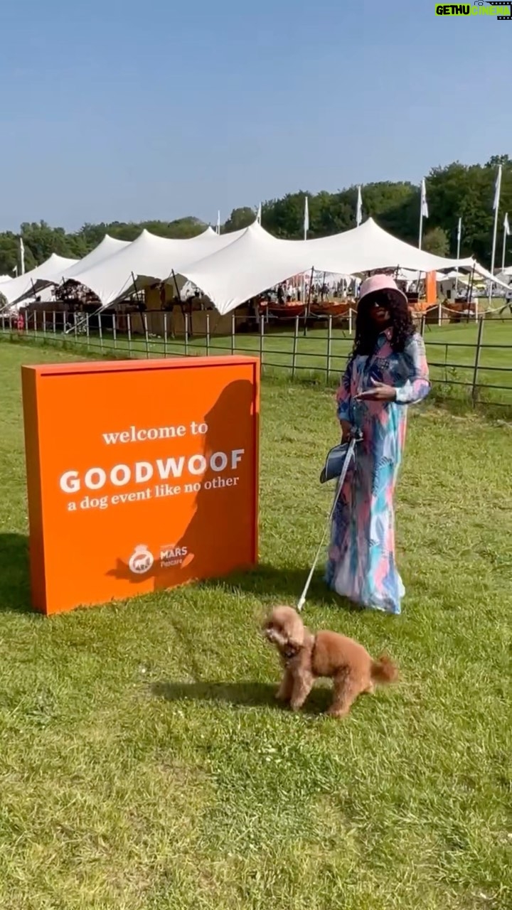 Sinitta - 50 Likes - This is Definitely one of my Favourite events of the year #GoodWoofdogs #goodwoofdogs24 @goodwoofdogs ! Wow! What a gorgeous day! If you love your Woof and you love people who love thiers then you will adore this Festival Hosted by the Duke and Duchess of Richmond and Gordon at #thekennels #kennelsgoodwood we Loved it and @thescarlet_walkietalkie had the best time ever. #spoiltrotten