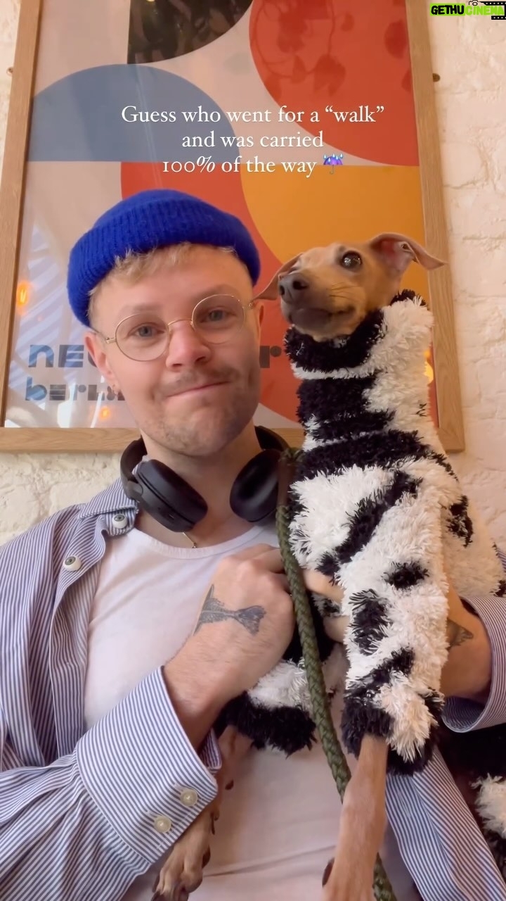 Sister Sister - 332 Likes - Hint: itās this guy šš» @bambinothebaby
#dragdogsofdragrace #italiangreyhound #bambino #dog