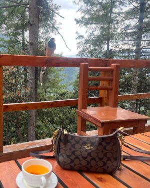 Snower Sania Vasudev Instagram - 🩵🎖️❄️Tauras bull slaying in Bhutan alone . 
Magical moments of my trip to the land of happiness & peace .
.
.
.
🌟My desire to meditate during wesak budh Purnima in 🇧🇹 was fulfilled on 25.5.2024 . My Kashmiri bday always falls on wesak Buddha Purnima and this was a long time wish and I can’t thank universe for this epic surprise moment . 
🤟🏻grateful!!! REBIRTH 👸

🌟My good fortune to have finally met @masterco_org in physical realm after following his sessions for eons I feel 🙏. 
Truly an honour & a fangirl moment of this lifetime . 👑😍
A True King of hearts & a real Super 🌟for sure , love ur spirit , humility & that beautiful big heart ♥️master co. 
We are blessed🧚🏻‍♀️to have a divine channel ( Light instrument ) like you in this era and timeline . 

Thank you for empowering, elevating & blessing us with your presence & power .
 LOVE ☯️☮️🕉️🙌🏻 SYNERGY through the roof !!!!

🩵In love with there culture , Consciousness , people and over all vatavaran🌈 💋🏔️🍀✅. 
.
A journey I will always cherish 🧘‍♀️even though I faced some really challenging circumstances 🥺which of-course is a part of any adventure  and always leads to ascension 🌥️& expansion . 
All is well 🧳 I am guided , blessed ,protected on every level and dimension. 
🦄 love you BHUTAN u TrueBEAUTY🪬
Shanti and happiness forever upon u🙌🏻❄️