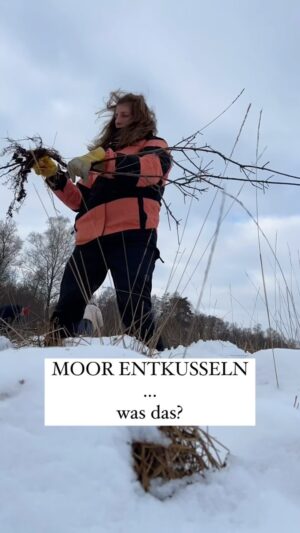 Sofia Kats Instagram - @kexek und ich waren entkusseln mit der NAJU. 
.
Was soll ich sagen - war Hammer. Workout für'n Tag war auf jeden Fall erledigt. Gute Laune war da. Schnee auch. 
.
Moore sind extrem wertvolle Ökosysteme, die wir schützen müssen.
.
Da das in einem Naturschutzgebiet war, sind wir da selbstverständlich mit einer Sondergenehmigung für die Pflegemaßnahme rein.
.
#naturschutz #moorschutz #klimaschutz