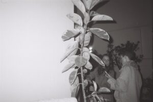 Sofia Mota Instagram - pbs konica p