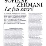 Sofiane Zermani