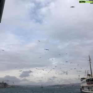 Soheil Beiraghi Instagram - استراحت