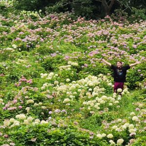 Sōichi Nakaoka Instagram - 紫陽花かきわけ中岡

紫陽花と写真撮った

英孝ちゃんに撮ってもらった！！

#これ以上紫陽花に近づいたら叫ぶ
#草花が枯れる原因は中岡かもしれない
#でもお花きれいな
#いいねもらっとけ