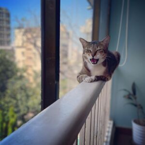 Sonam Nair Instagram - Definitely laughing at me, not with me.
