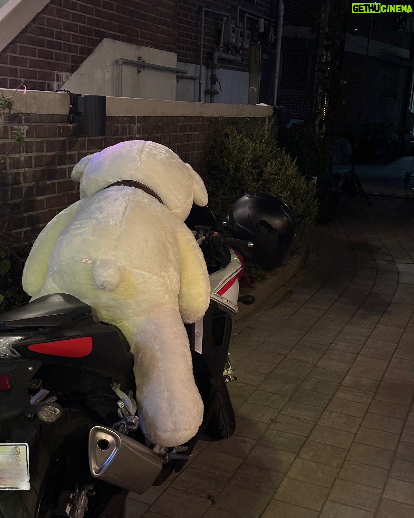 Song Geon-hee - 634.8K Likes - 🧸.zip