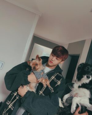 Song Yu-vin Instagram - 잘 있어 몽(17)
잘 있어라 쵸파(5)
잘 있어요 나의 가족❤️ 건강하세요 모두..특히 몽이 할머니..🐶
#새해복많이받으세요🙇