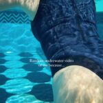 Sonnalli Seygall