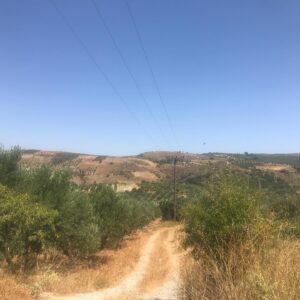 Sophie Cadieux Instagram - Trop de soleil et conduites montagneuses avec le plus que parfait @levriervert qui s’en est retourné. 😢🇬🇷🐏