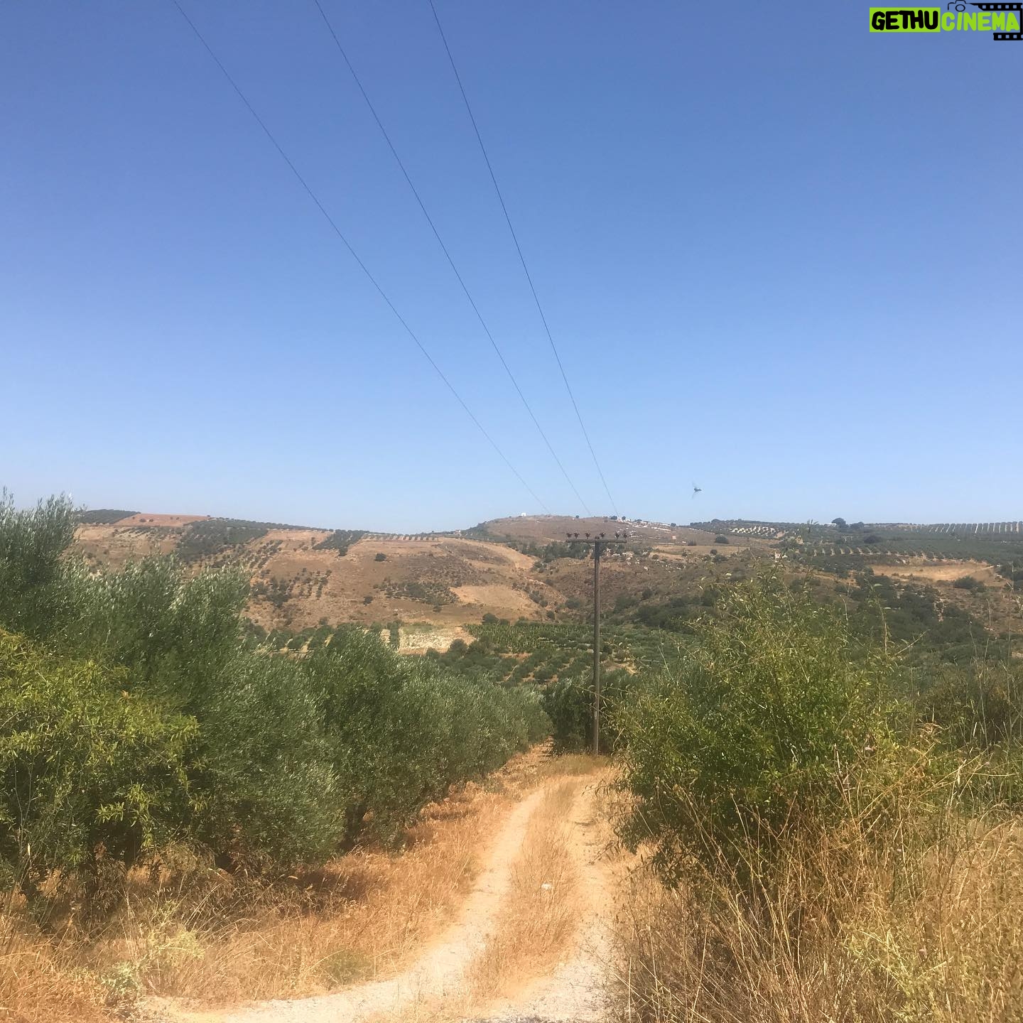 Sophie Cadieux - 533 Likes - Trop de soleil et conduites montagneuses avec le plus que parfait @levriervert qui s’en est retourné. 😢🇬🇷🐏