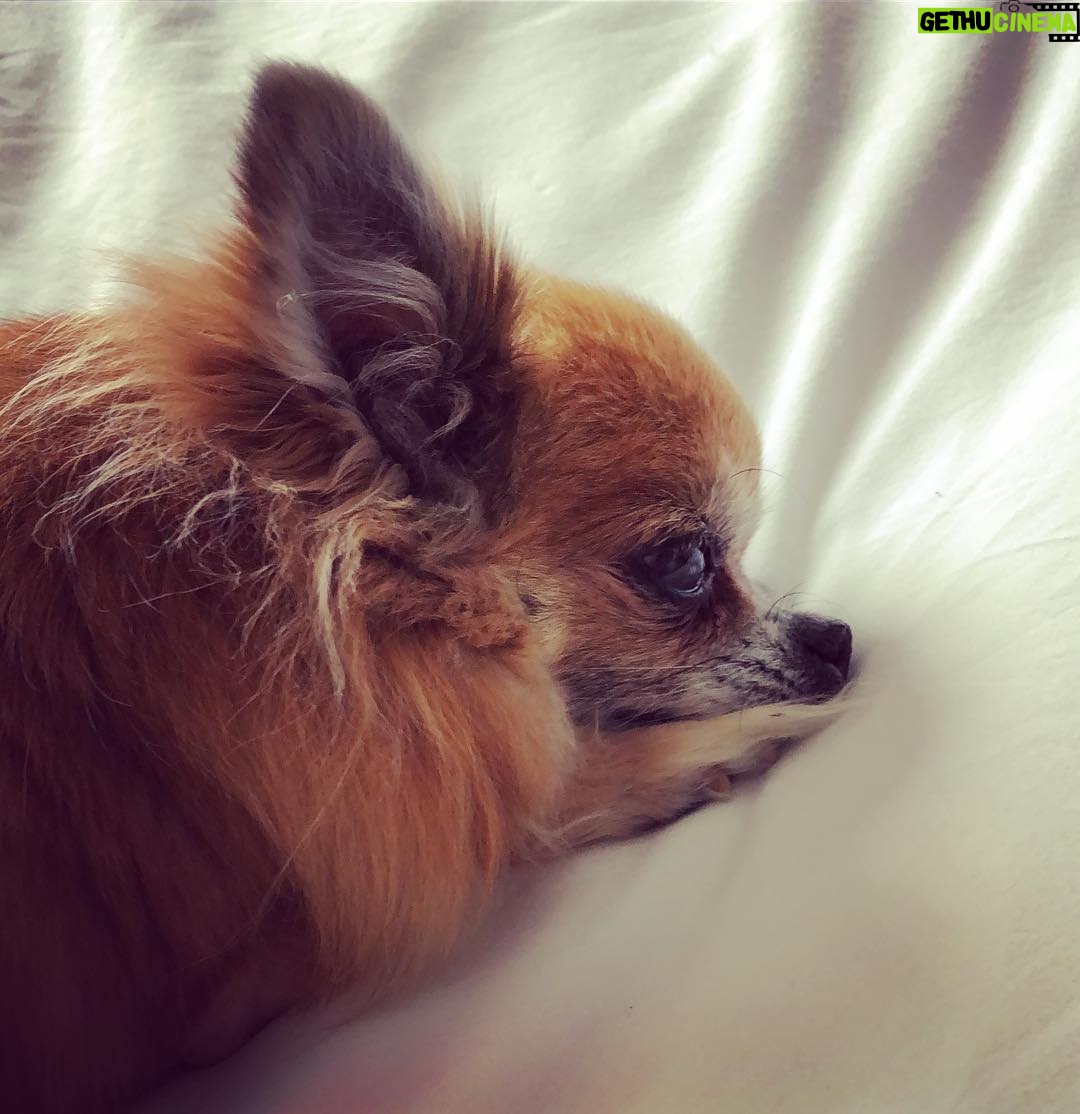 Sophie Favier Gethu Cinema