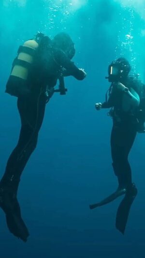 Sophie Lowe Instagram - So happy to share ‘THE DIVE’ trailer !!
In theaters August 25th.

@lounkrause 
@max_erlenwein 
@augenscheinfilm 
@falkunfilms