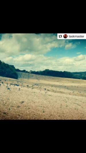 Sophie Willan Instagram - COMING SOON BABY!!! BEST EVER time on this show with the most wonderful, fun, silly team mates,  fabulous hosts Greg and Alex and brilliant crew/production!! #taskmaster #series17
