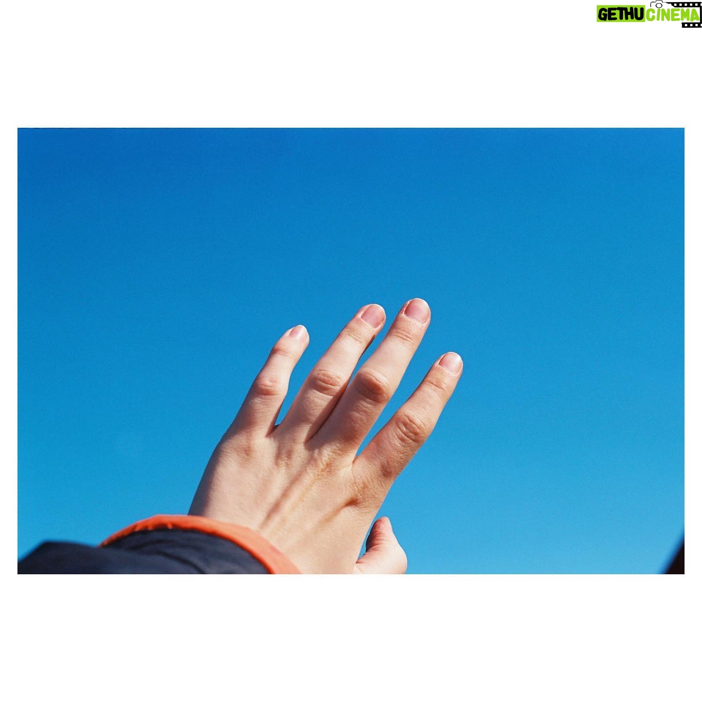 Sorcha Groundsell - 615 Likes - The colours of 2021/latest batch of #35mm