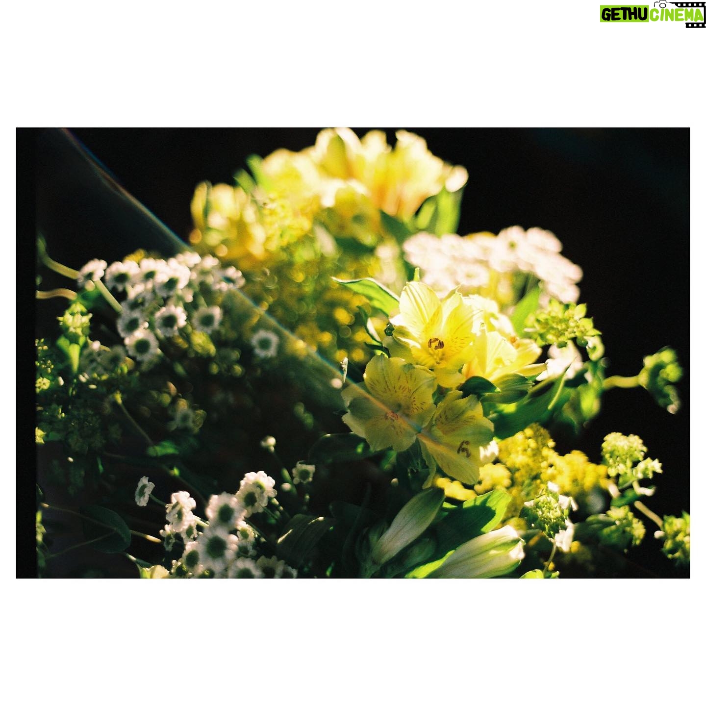 Sorcha Groundsell - 615 Likes - The colours of 2021/latest batch of #35mm
