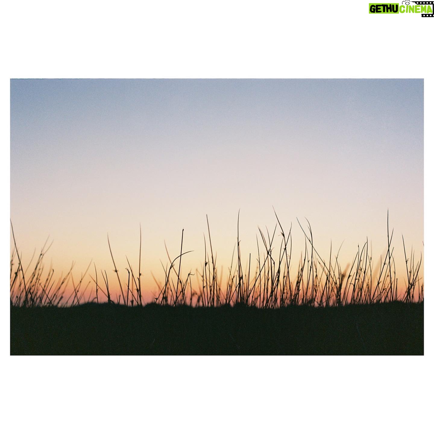 Sorcha Groundsell - 615 Likes - The colours of 2021/latest batch of #35mm