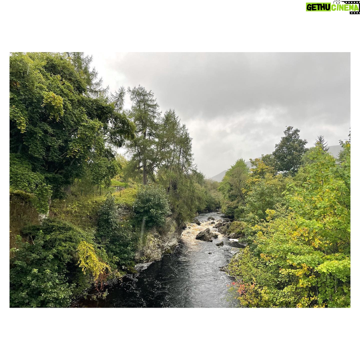 Sorcha Groundsell - 701 Likes - 🌧🌲🐐🏴💃