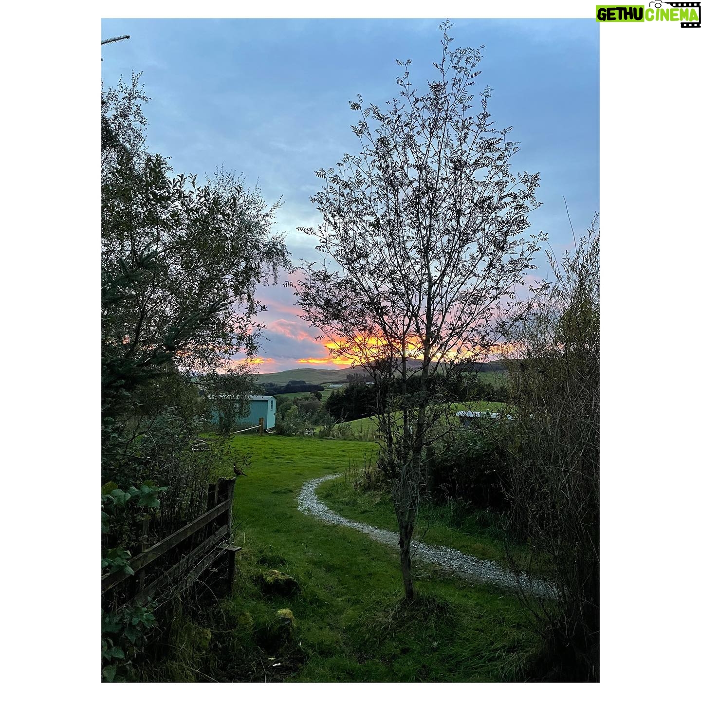 Sorcha Groundsell - 701 Likes - 🌧🌲🐐🏴💃