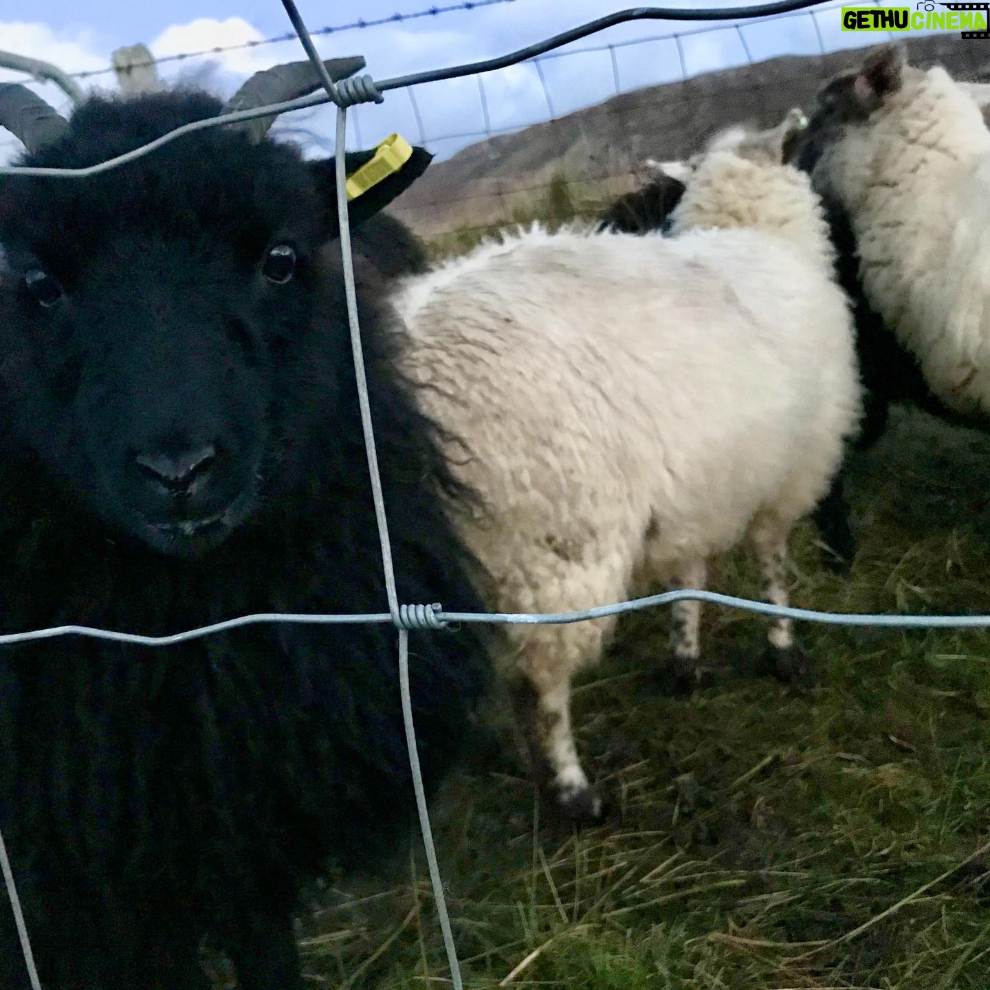 Sorcha Groundsell - 423 Likes - What are you looking at?