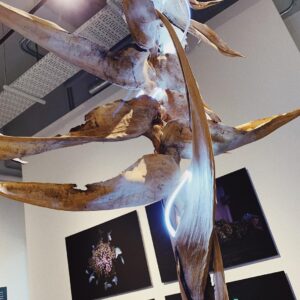 Sou Instagram - IMA gallery に行ってきた~